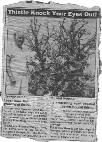 in the paper